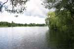 Heiliger See (2)