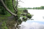 Heiliger See (7)