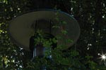 Lampe (1)
