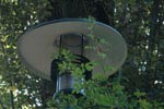 Lampe (2)