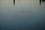 Wasser (7)