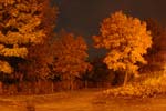 Nacht (4)