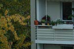 Topf auf Balkon