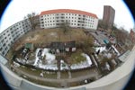 Fr&uuml;hlingsanfang ohne Fr&uuml;hling