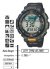 Casio Pro Trek (Batterie)