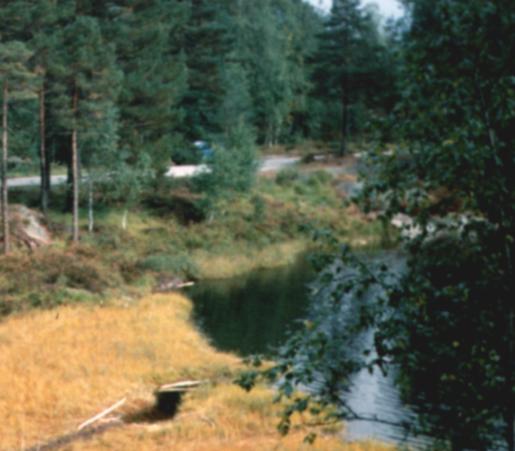 Der Corsa, die Bank, das Wasser und der Einstieg der Biber.