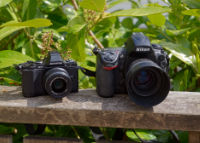 Nikon D700 & Olympus E-M5