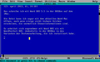 Word DOSBox