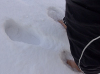 Barfuß im Schnee (1)