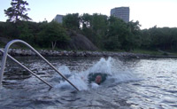 ... schwimmend im Fjord