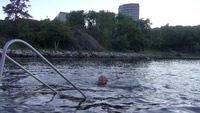 ... schwimmend im Fjord