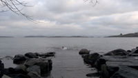 Schwimmen im Fjord